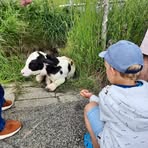 Andreas Vogt - Facebook