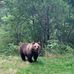 Andreas Vogt - Facebook