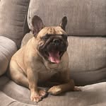 Andreas William - @andreas.william23 - Instagram