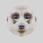 Andrei Boboc - @m_boboc438 - Instagram