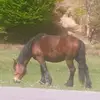 Andrei buna - @andrei.buna8 - TikTok
