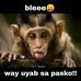 Andrei B Morales - Facebook