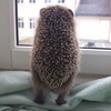 Andrei NIKULIN - @andreinikulin50 - TikTok