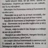 Andrei Paraschiv - @andrei.paraschiv06 - TikTok