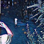 Paraschiv Andrei - @andreiparaschiv04 - Instagram