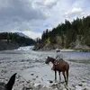 Andrei - @andrei_popa05 - TikTok