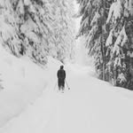 Andrei Popa - @andrei___popa - Instagram
