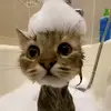 Andreia Antunes - @andreiaaa.a - TikTok