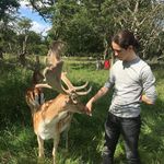 Andrés Aybar Soto - @andres_aybar19 - Instagram