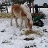 Andres Carbonel - @andres.carbonel - TikTok