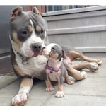 Andrés devia - @devia571 - Instagram