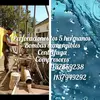 andres ferreyra - @andresferreyra7 - TikTok
