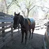 Andres Ferreyra - @andres.ferreyra3 - TikTok