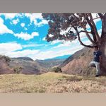 Andres Navia - @nav.andres - Instagram