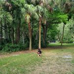 Andres Navia - @andres.navia.10 - Instagram