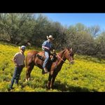 Andrés Pedroza - @pedroza3475 - Instagram