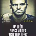 Andres Quevedo - @andres.quevedo.3979489 - Instagram