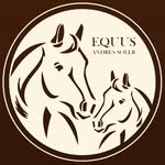 Andres Soler - @equus_mas - Instagram