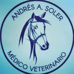 Andres Soler - @andressoler17 - Instagram