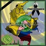 Andres Toscano - @toscano8560 - Instagram