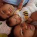 Andres Baltazar Valles - Facebook