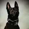 Andrew Aaron - @andrew.aaron3 - TikTok