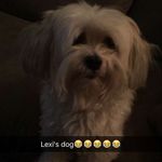 Andrew Abarca - @abracadabra_is_here - Instagram
