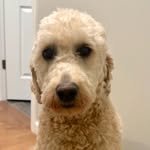 Andrew Abbey - @andrew_abbey23 - Instagram