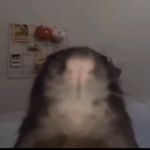 andrew abdallah - @andrew_abdallah_ - Instagram