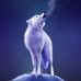 Andrew Abdallah - Facebook