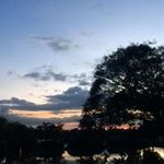 Andrew Abela - @abela.andrew - Instagram
