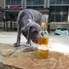 Jason Andrew Abner - @jasonandrewabner - TikTok