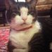 Andrew Abramowitz - Facebook