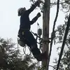 Andrew Abrams - @drewa75 - TikTok