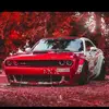 ANDREW_ABRAMS - @andrew_abrams - TikTok
