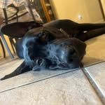 Andrew Adler - @adlerthedadler - Instagram