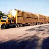 Andrew Aitchison truck driver - @stoopidtiktoksignup - TikTok