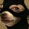 Andrew Alaniz. - @and_rew1430 - TikTok