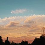 Andrew Amende - @andrewamende - Instagram