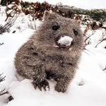 Andrew Andrew - @andrew_andrew_13_ - Instagram