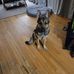 Andrew Baldock - Facebook