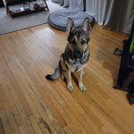 Andrew Baldock - @baldock.10 - Instagram
