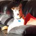 Andy Barge - Facebook