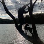 Andrew Barshinger - @barshingerandrew - Instagram