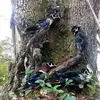 Andrew Barwick982 - @whiteoak_outdoorsman - TikTok