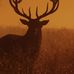 Andrew Beam - Facebook