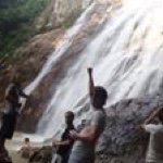 Andrew Beavis - @beaverdawg - Instagram