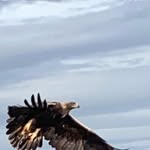 Andrew Beers - @dru.beers23 - Instagram
