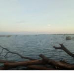 Andrew Benard - @andrewbenard465 - Instagram