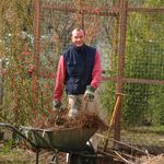 Andrew Benard Loe - @andrewbenardloe2 - Instagram